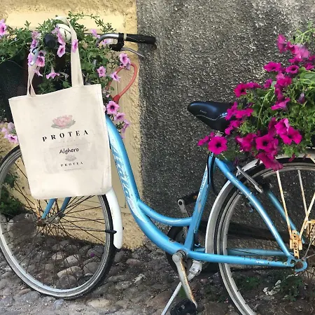 Protea House Διαμέρισμα