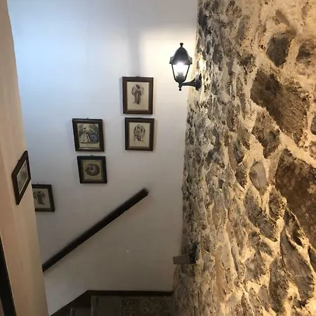 דירה Protea House *