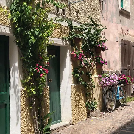 Protea House アパート *