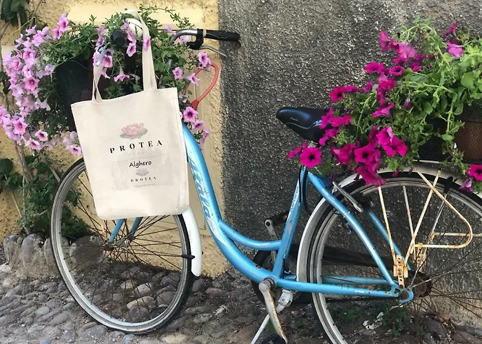 Protea House Апартаменты